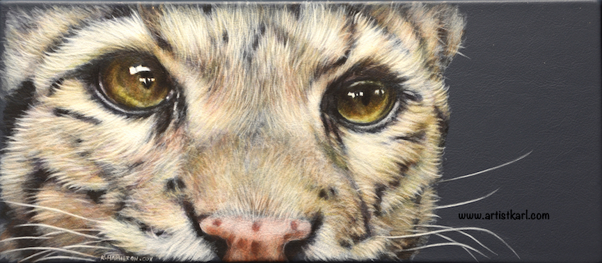 Cats Eyes Series - Ocelot