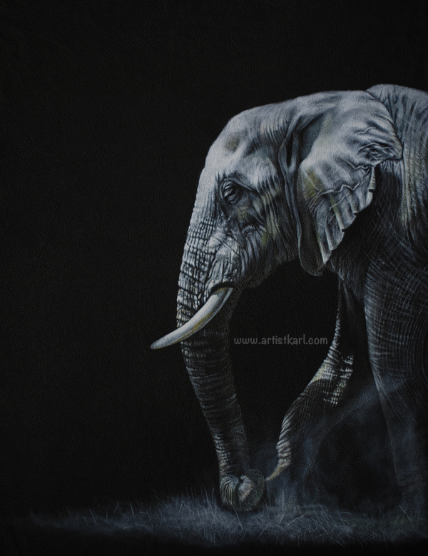 Moonlight Stroll - elephant