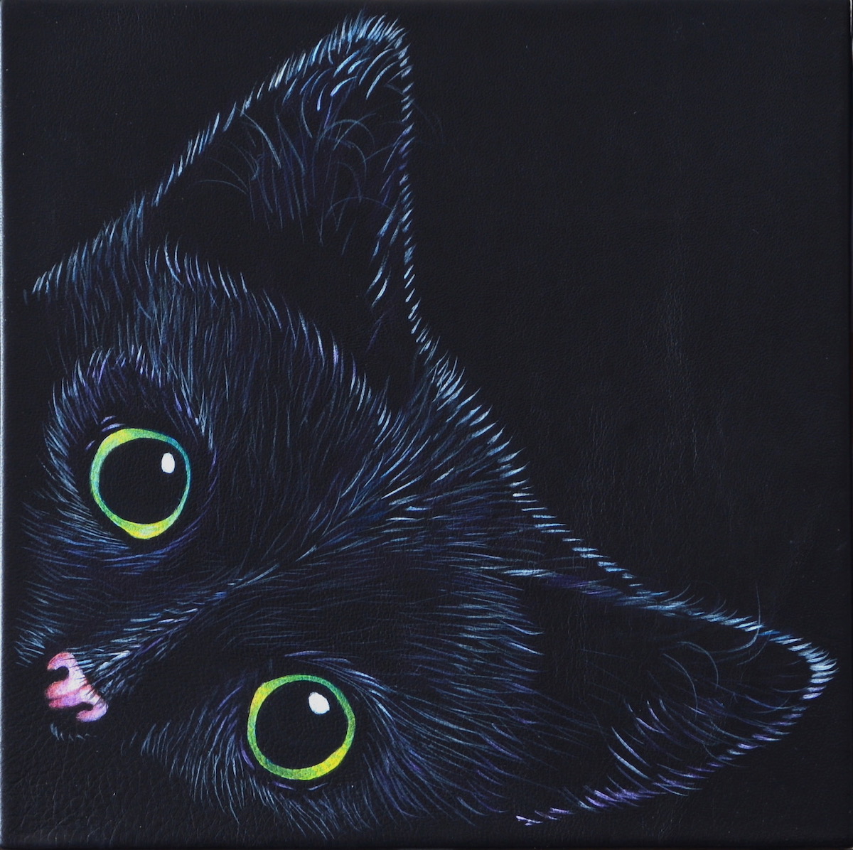 KittyCat Series