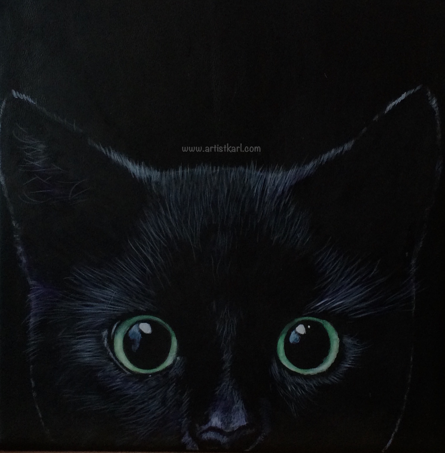 KittyCat Series