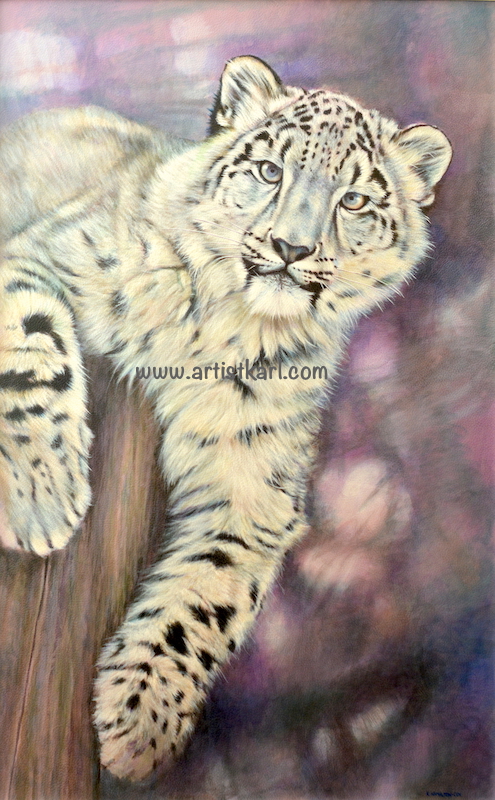 Curiosity - snow leopard