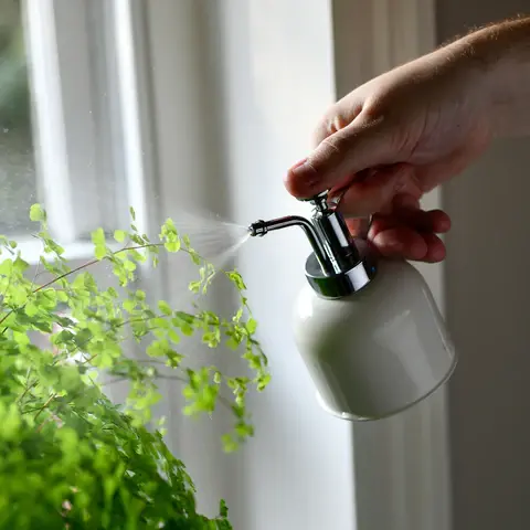 Thumbnail: Indoor Plant Mister (Stone)