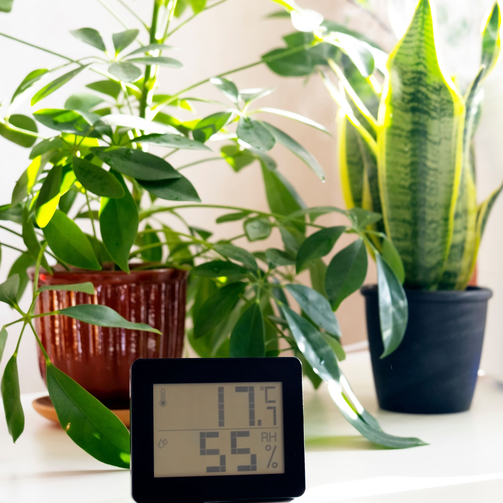 Humidity control