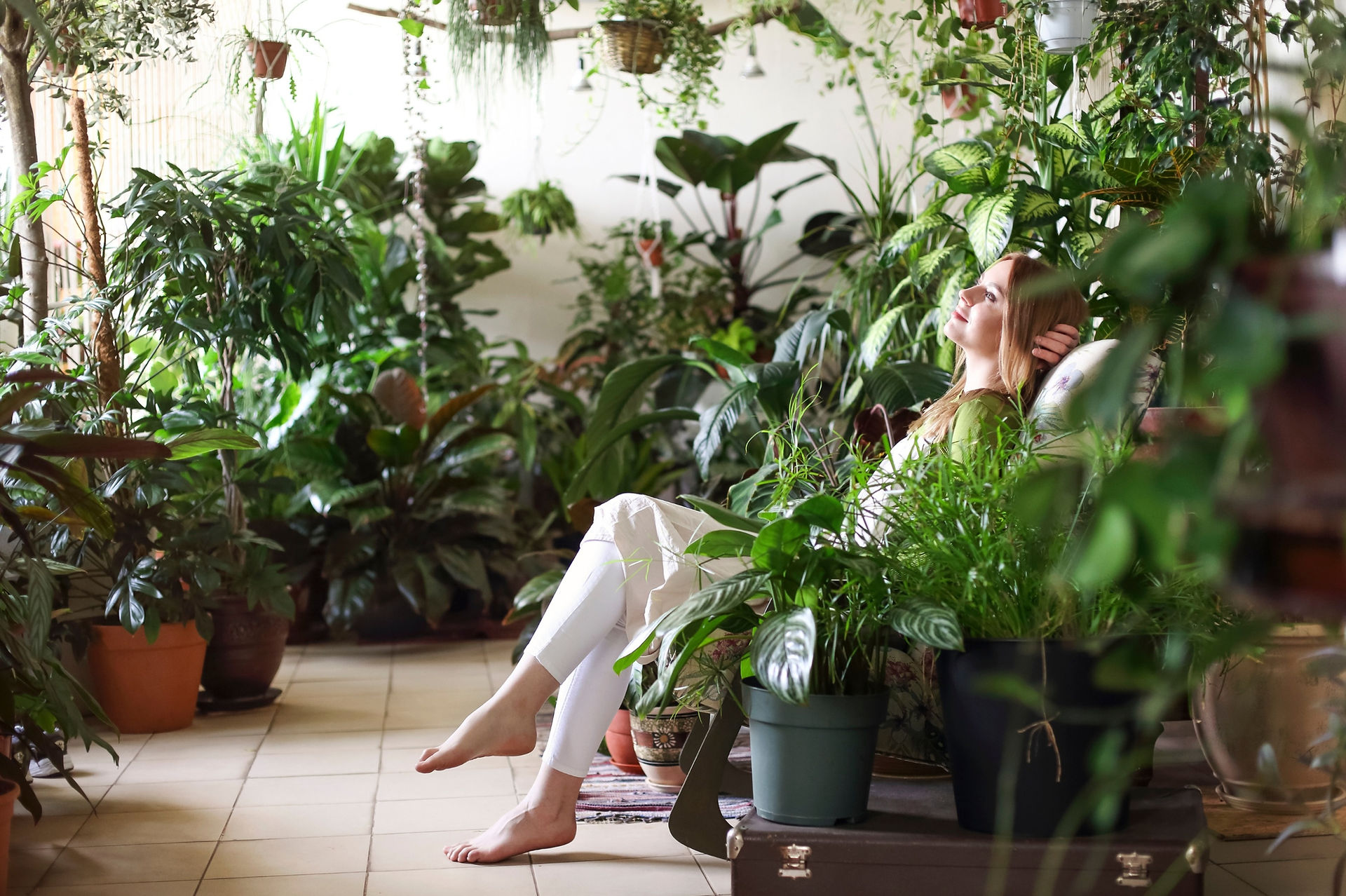 Relaxing with indoor plants