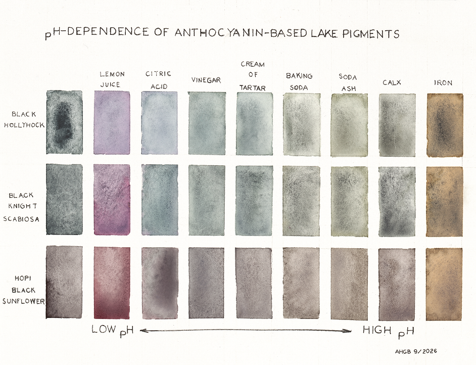 PH Dependence of Anthocyanin-Based Lake Pigments_RTP.tif