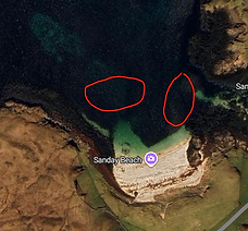 Seagrass meadows.png
