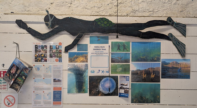 Snorkel board.jpg