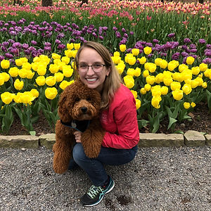 Shannon Reyenga is shown with her goldendoodle Colfax. She has glasses and blonde hair. She is smiling because she is in a tulip field.