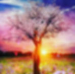 Summer Solstice Hike, Yoga, Massage