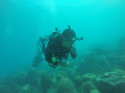 GOPR0514