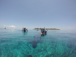 GOPR0607