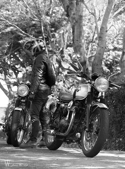 TONUP ROCKERS CAFE RACER (70)