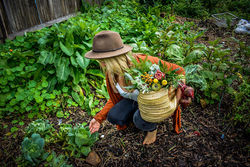 Nutritional Medicine