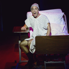 FALSETTOS
