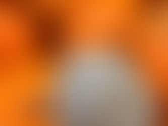 Beyond the Orange: The World of Blue Pumpkins