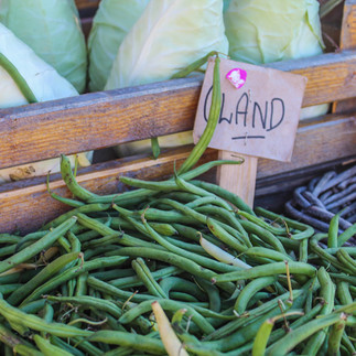 beans on display at a farm shop during the Öland harvest festival.