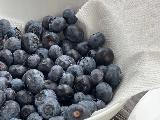 Blueberries & the Taste of Summer