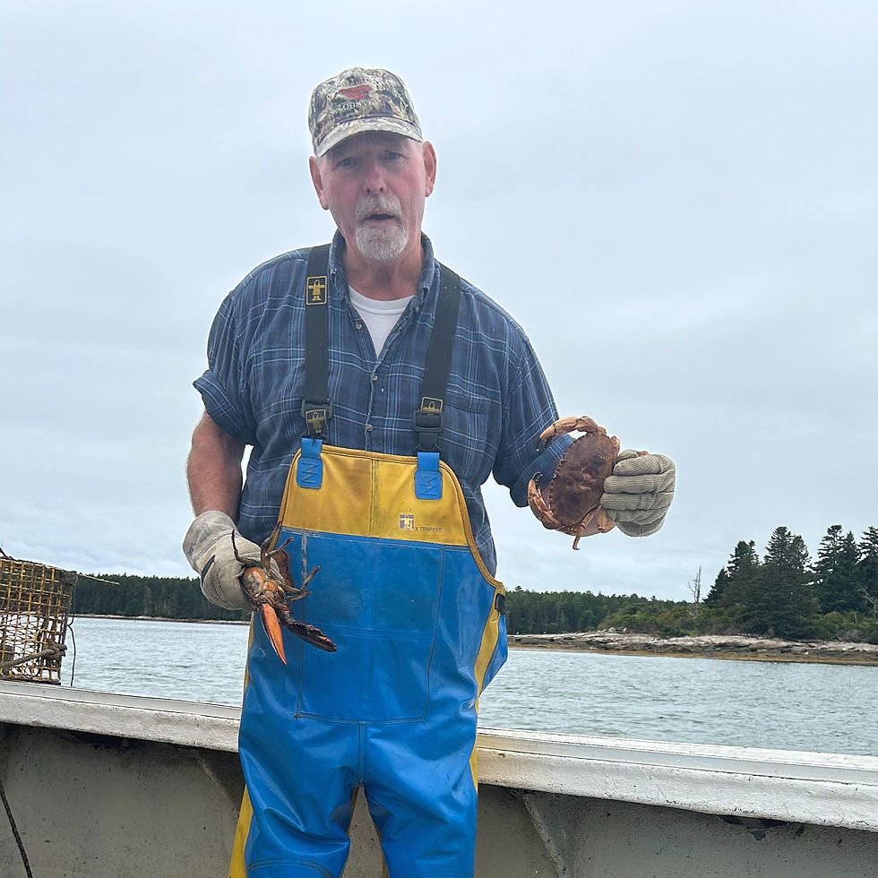 Man in blue and yellow overalls holds a lobster on a boat. Overcast sky, forested shoreline in the background. Calm, focused mood.