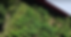Topdown.png