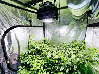Weekly Product Review - ACTIVE AIR EQUIPMENT