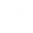 27.png