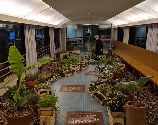 Cenografia Regenerativa