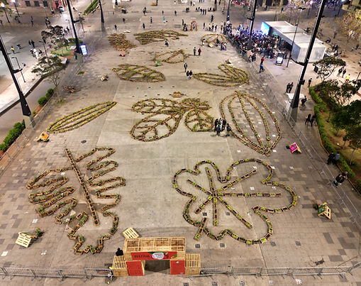 Experiências & Eventos