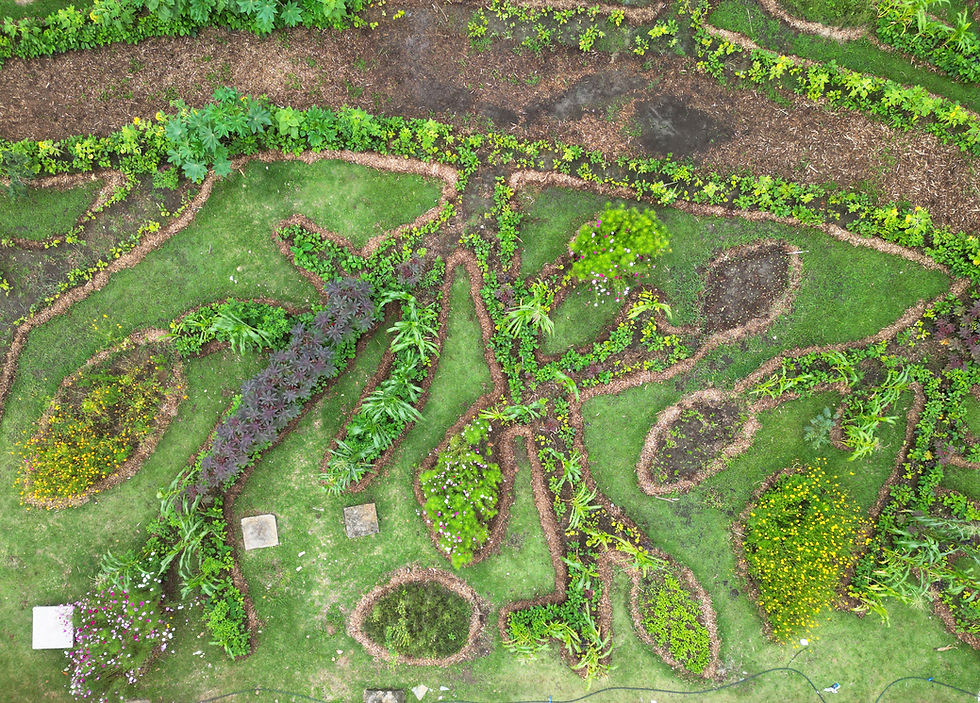 Jardim Comestível - On the go