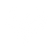 phoenix (1).png
