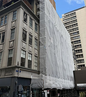 scaff_right_1774688119_3862686104994823135_65041111128.jpg