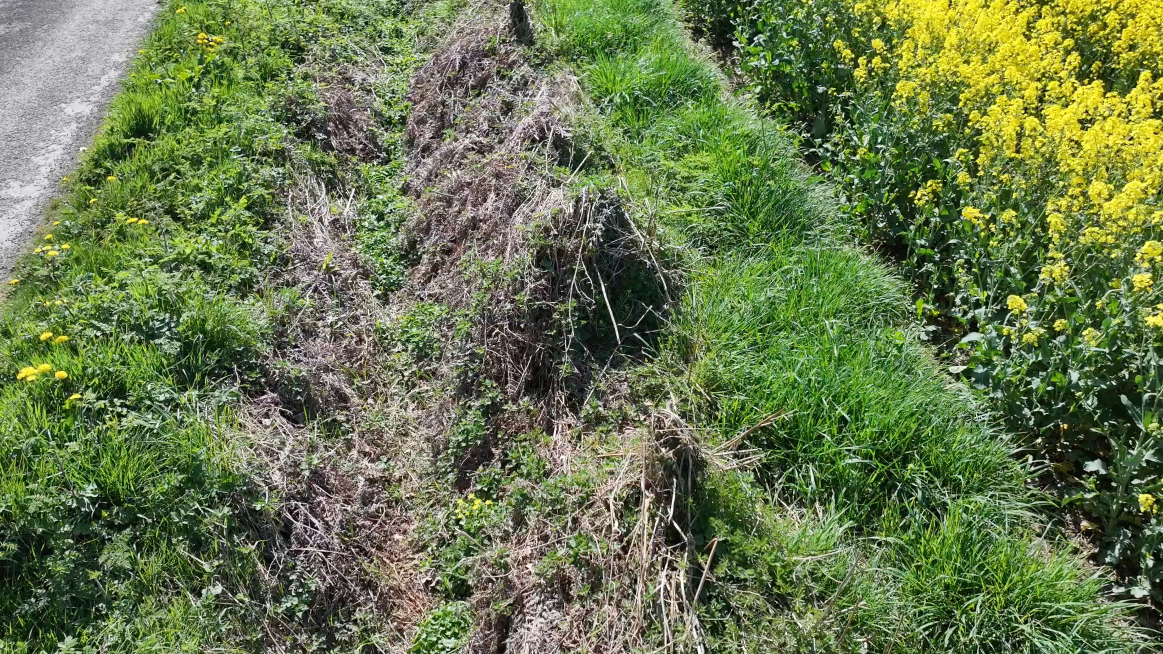 Aerial - Drone - Country lane Ditch & Field