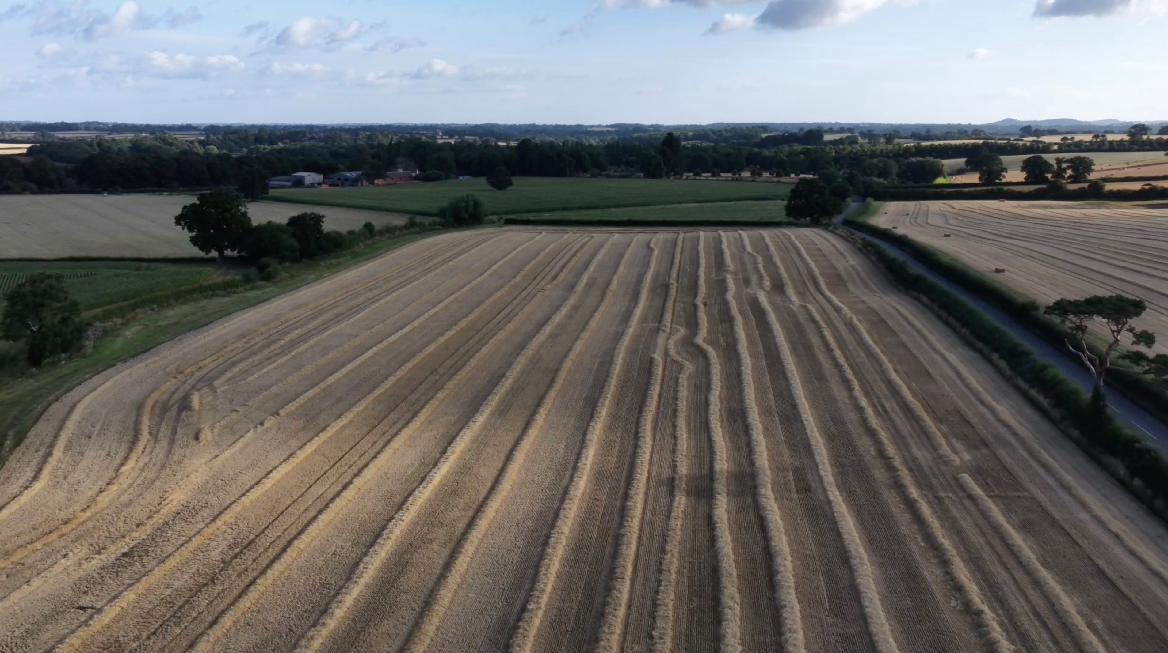 Agriculture - Cut Wheat Straw - Late Evening