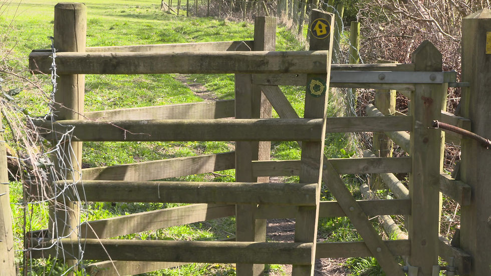 Thumbnail: Kissing Gate in Countryside