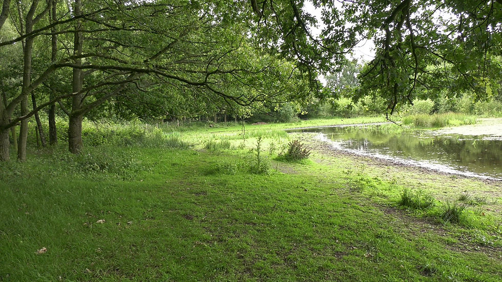Thumbnail: Lakeside with Grassy Banking