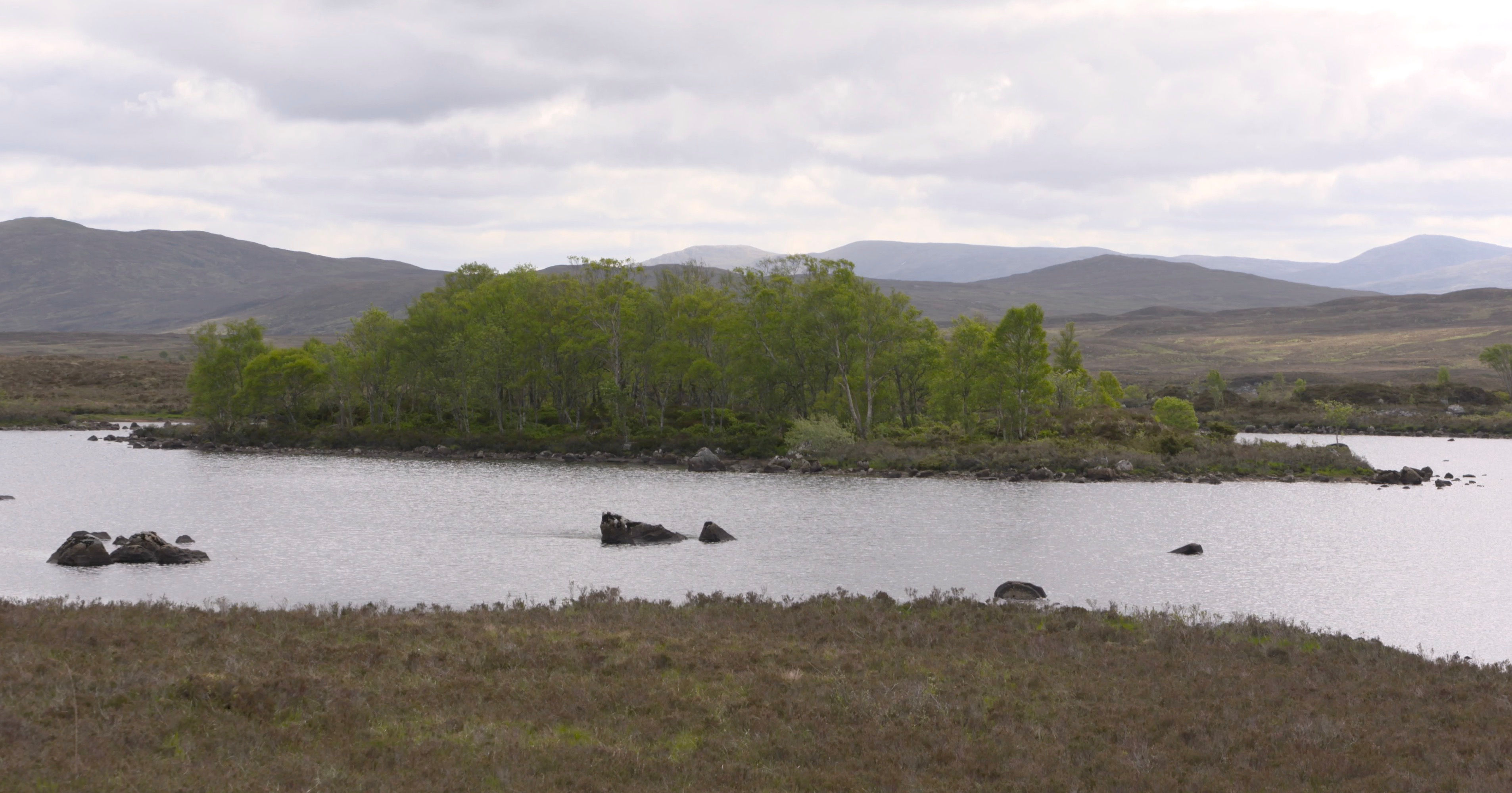 Scotland Hills & Loch 806
