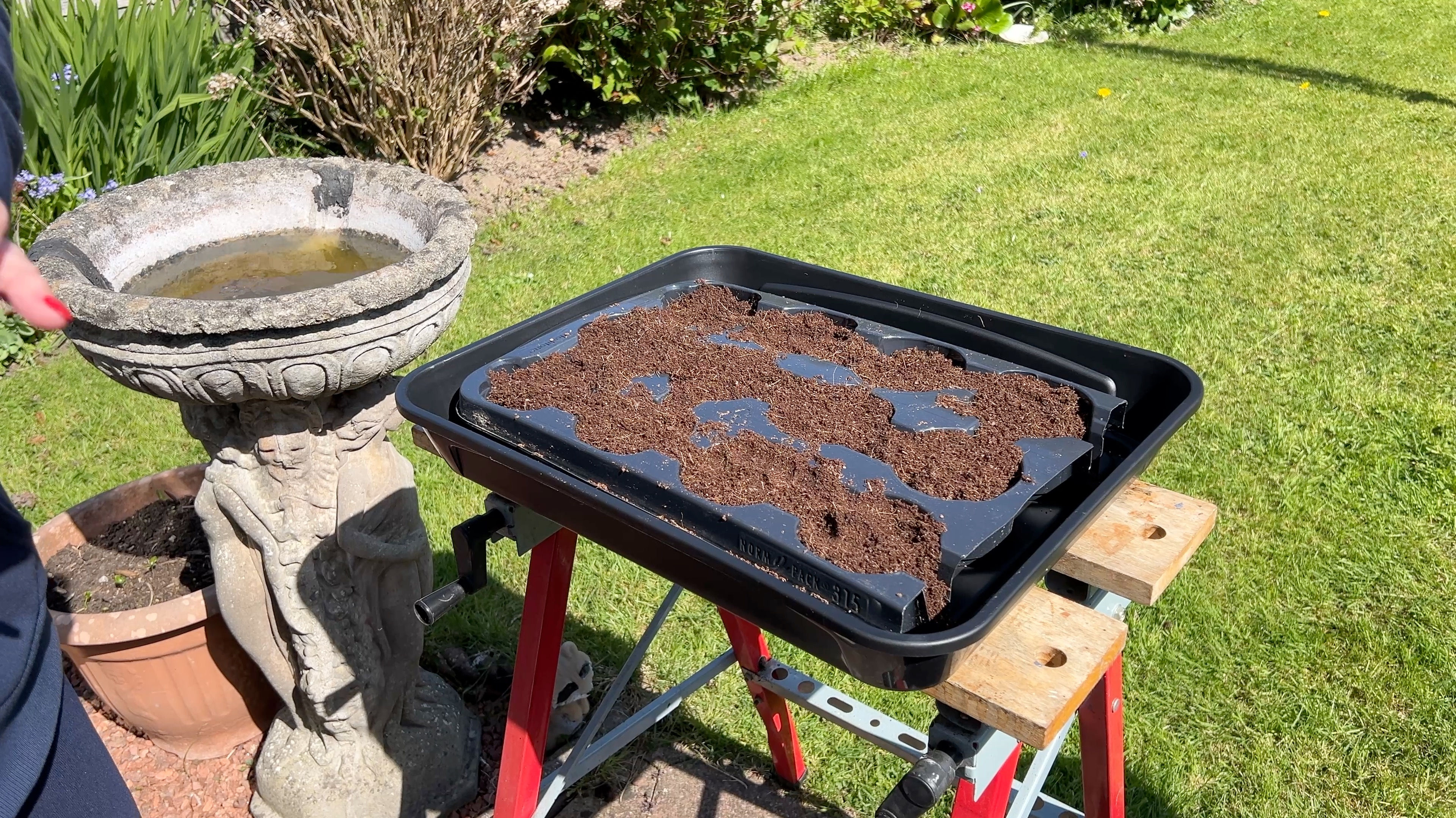 Sowing Garden Seeds 01