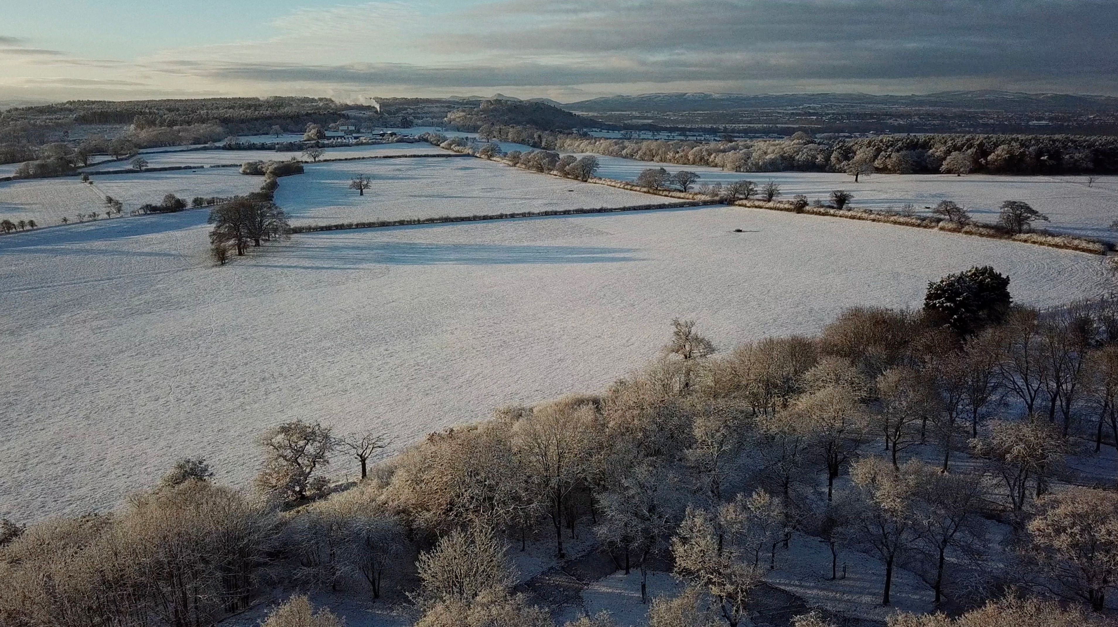 Drone Snow Small Wooded Area 2