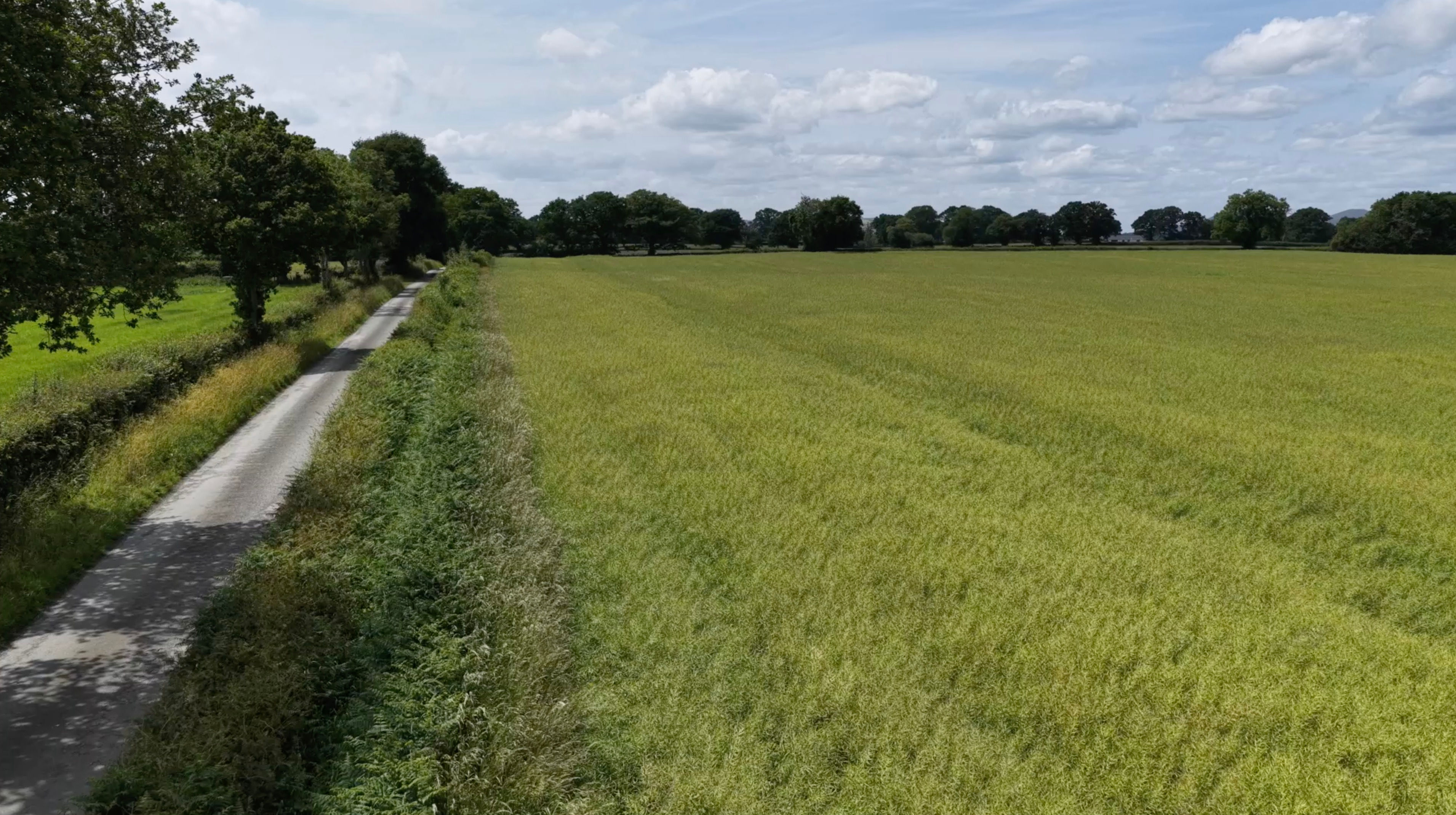 Aerial Drone - Travels over Crop Field - Cloudy Sky.