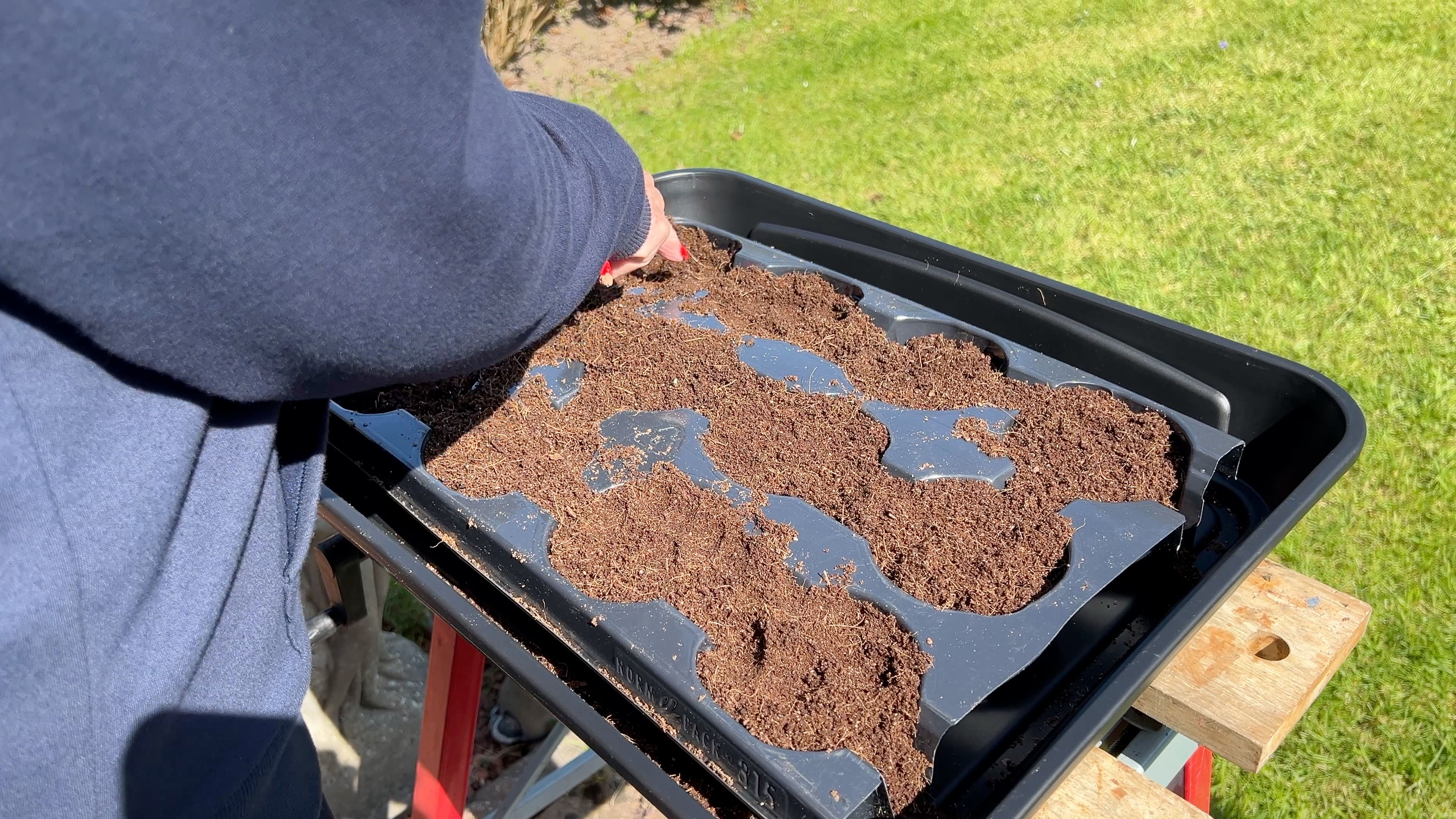 Sowing Garden Seeds 02