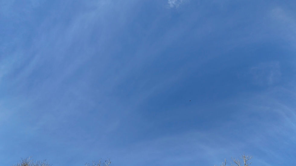 Thumbnail: Distant Buzzards - Blue Sky
