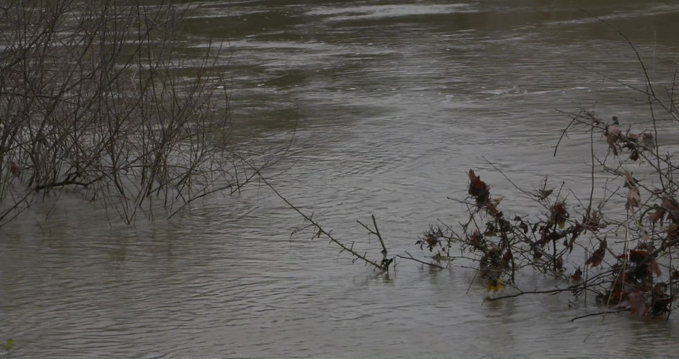 Thumbnail: River in Flood 5