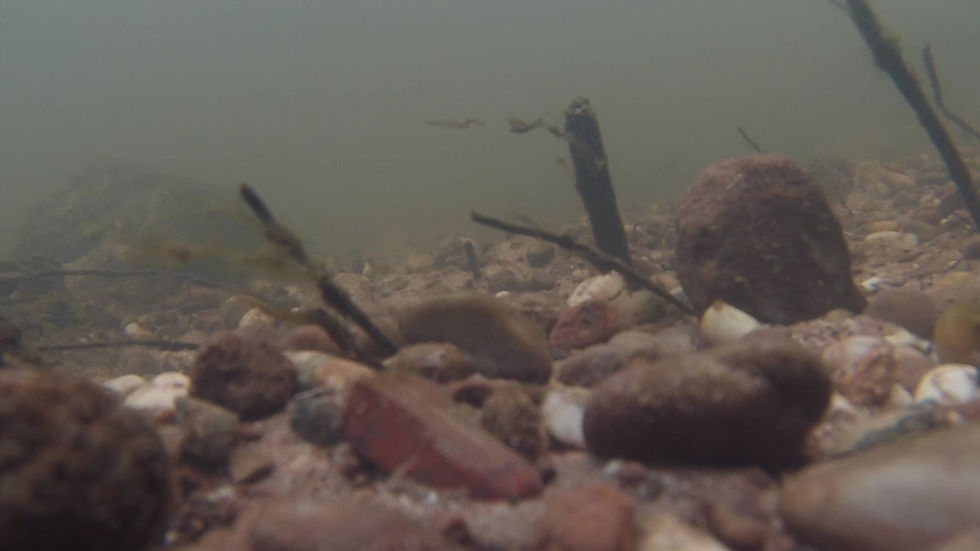 Thumbnail: Underwater - Fast moving Stream 7