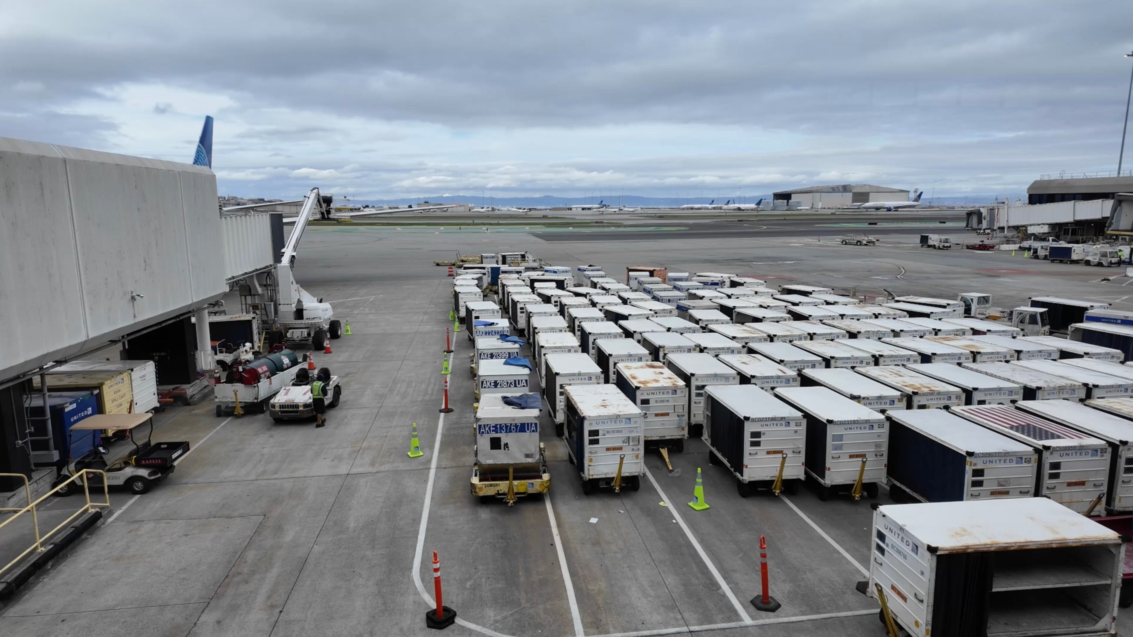 Airport Passenger Baggage Carts