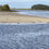 Thumbnail: Seal Colony - Sandy Bank 02.