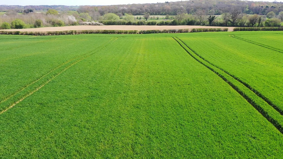Thumbnail: Aerial - Drone English Countryside Crop Fields 2