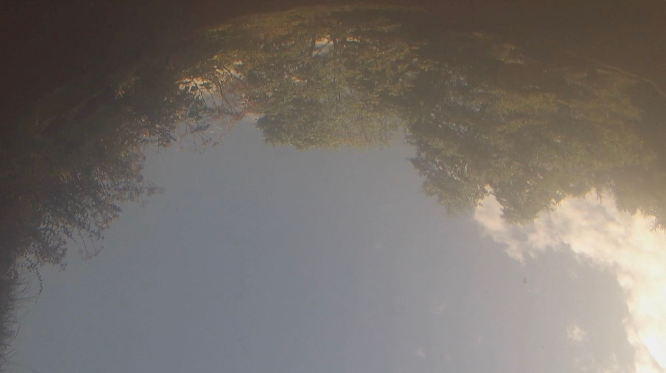 Underwater -  Stream Looking upwards Surface Trees & Sky Clouds