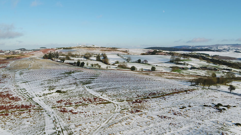 Thumbnail: Aerial - Drone over Snow covered Fields 3