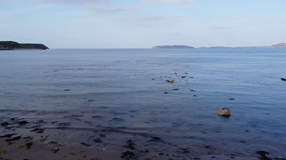 Drone over Rocky Beach Low Tide