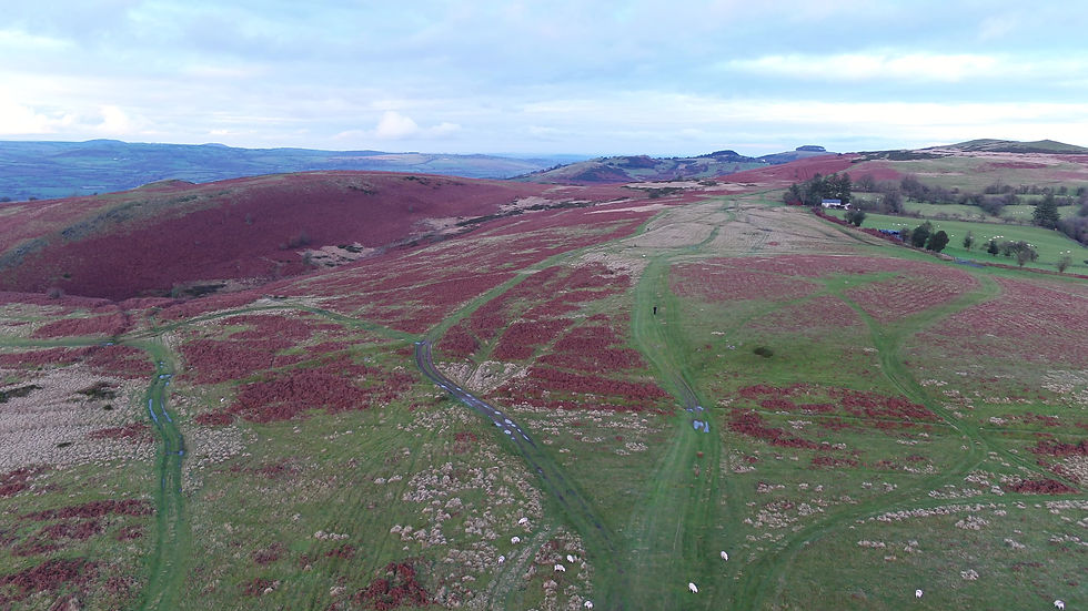 Thumbnail: Aerial - Drone Beautiful Landscape 3