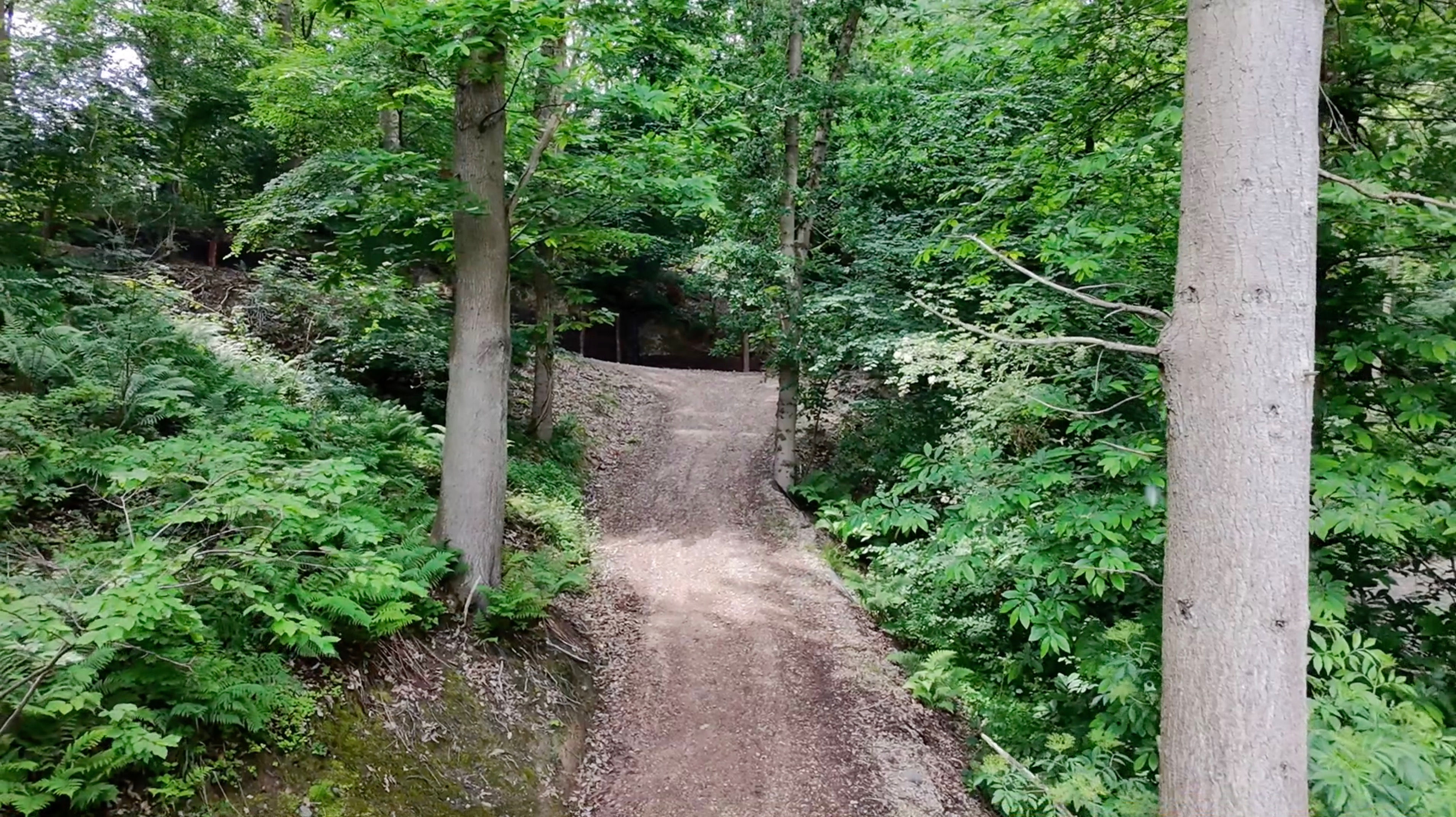 Aerial - Drone -  Wooded Area - Trees - Gravel Track 02